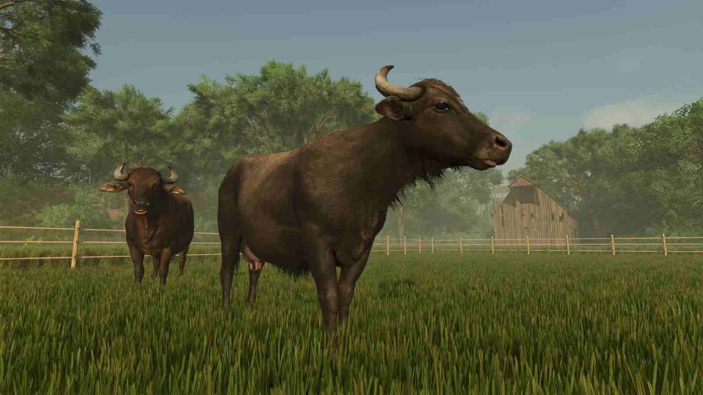 Buffalos in Farming Simulator 25 official screenshot