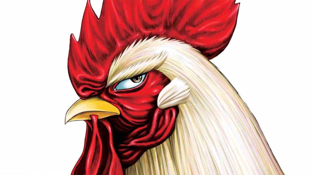 Rooster Fighter manga: side profile of the head of a serious looking rooster