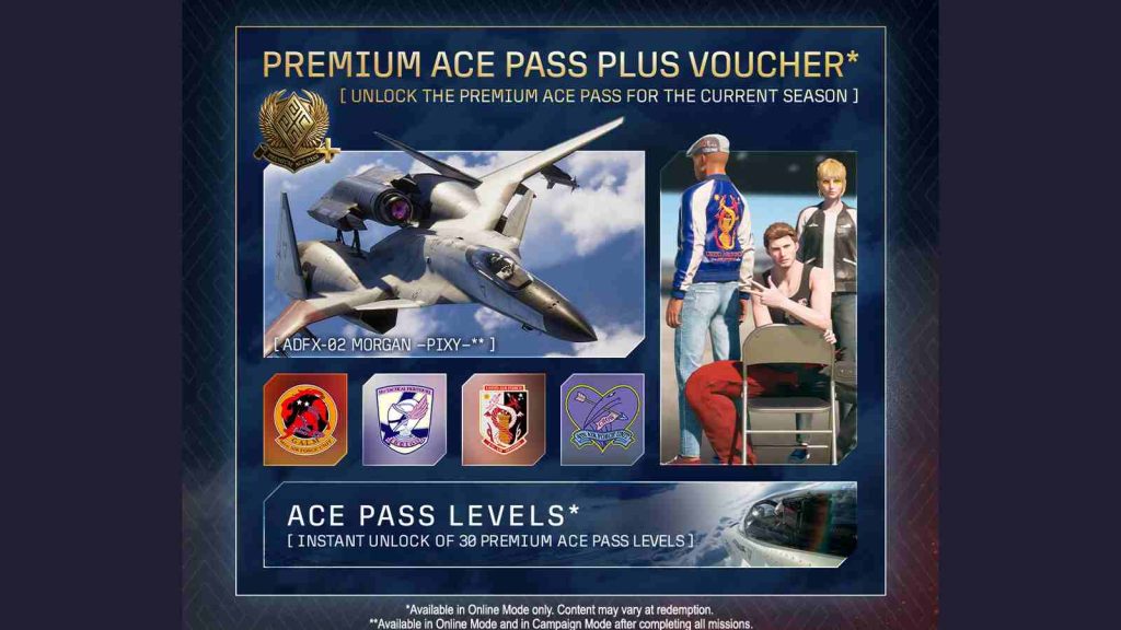 Ace Combat 8: Wings of Theve premium access pass plus voucher contents