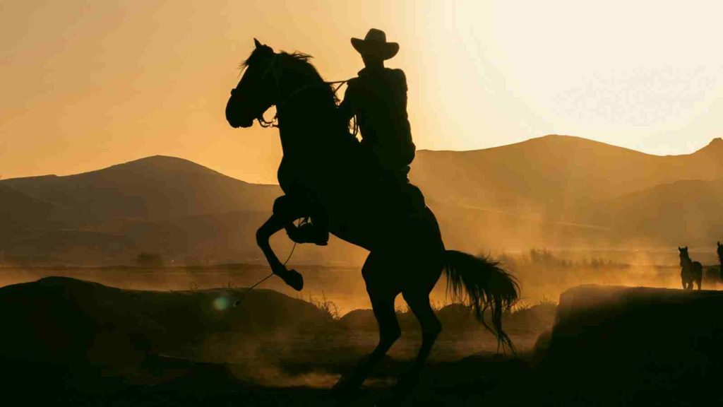 Cowboy riding a horse that's rearing against the sunset